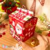 Caixa para Mini Panetone Noel