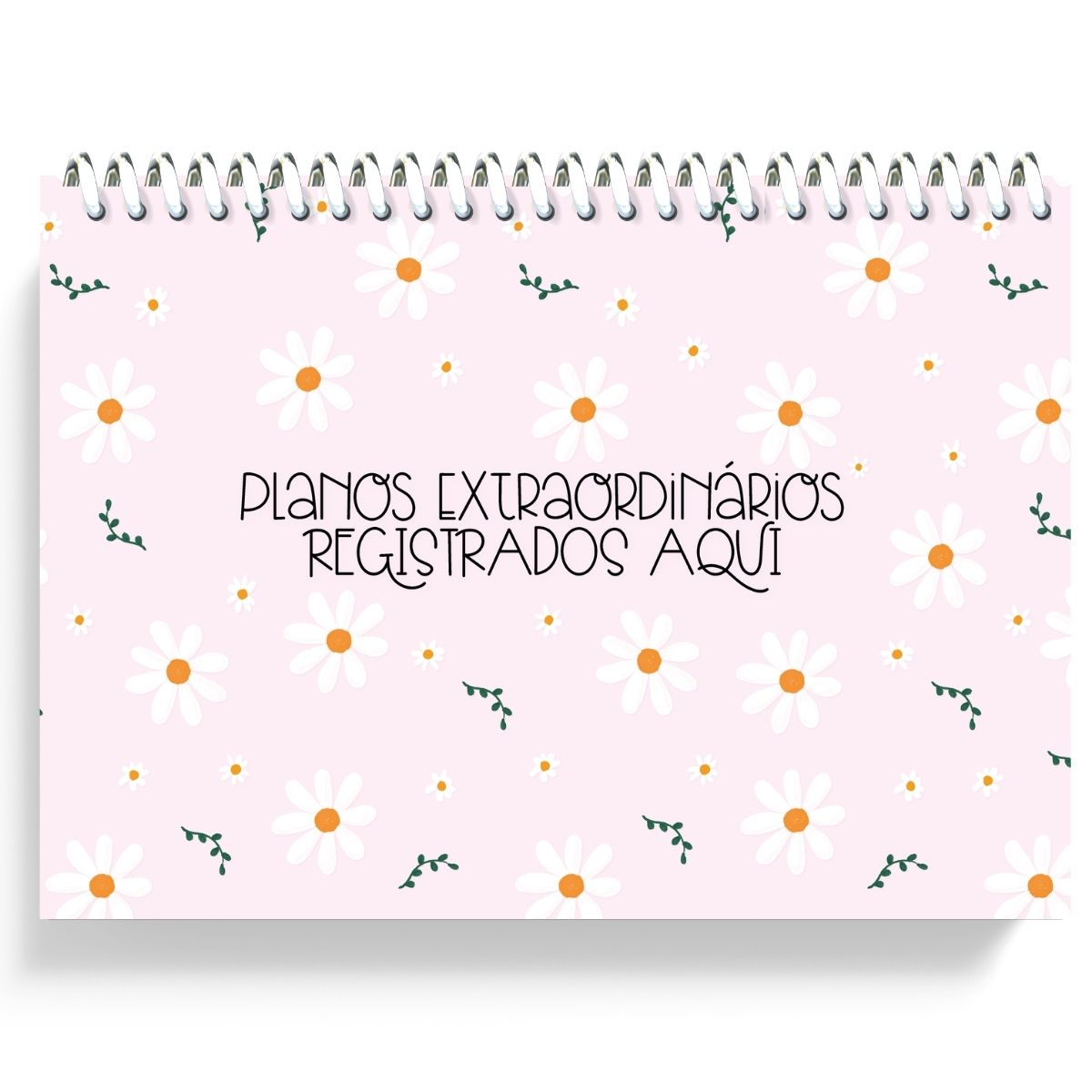 Planejamento Semanal Planos Extraordinários